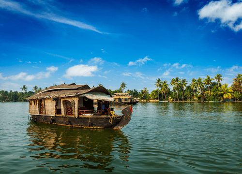 Kerala: A 5-Day Journey Through Hills, Wildlife, and Backwaters